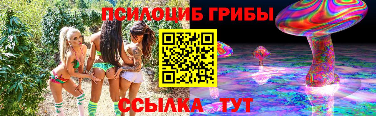 Обнинск  Галлюциногенные грибы прущие грибы  Вход с VPN 