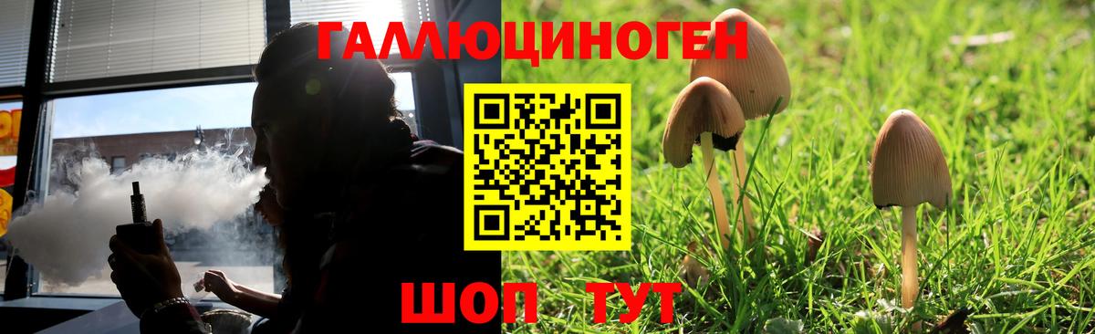 Галлюциногенные грибы MAGIC MUSHROOMS Обнинск