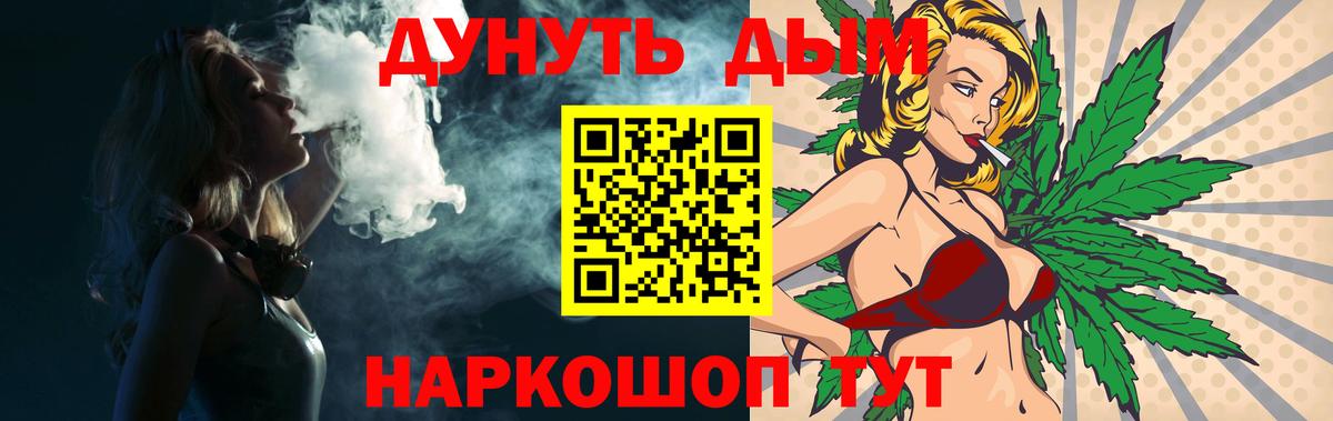 Конопля сатива Обнинск